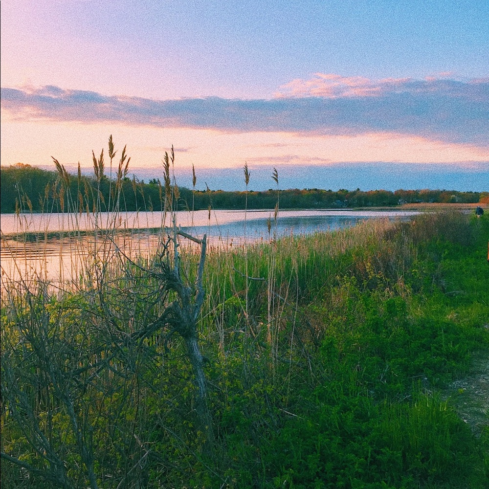 Meet your Posher, Autumn